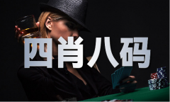 澳门材料2024年