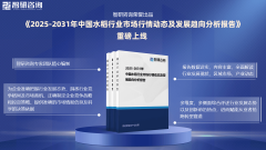 2025版中国水稻行业市场概况阐发及投资前